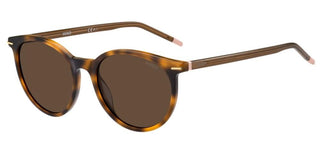 Hugo HG 1173/S women Havana Round Sunglasses