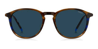 Hugo Hg 1346/s Men Brown Pantos Sunglasses