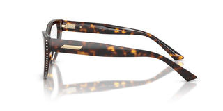 Jimmy Choo JC 3030B women Havana Cat Eye Eyeglasses