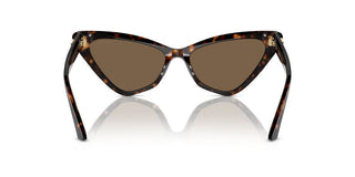 Jimmy Choo Jc 5008 Women Havana Cat Eye Sunglasses