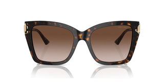 Jimmy Choo JC 5012 women Havana Butterfly Sunglasses