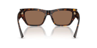 Jimmy Choo Jc 5035b Women Havana Cat Eye Sunglasses