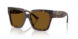 Jimmy Choo JC 5047B women Havana Butterfly Sunglasses