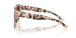 Jimmy Choo JC 5053 women Havana Round Sunglasses