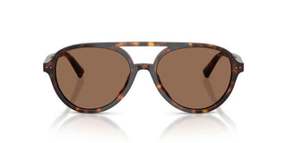 Jimmy Choo JC 5055U women Havana Pilot Sunglasses
