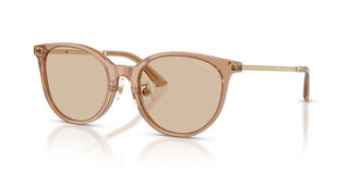 Jimmy Choo JC 5056JD women Brown Sunglasses