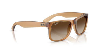 Ray-Ban JUSTIN RB 4165 men Brown Sunglasses