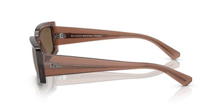 Ray-ban Kiliane Rb 4395 Unisex Brown Squared Sunglasses