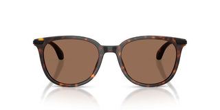 Moncler Korra Me6013 Unisex Havana Geometric Sunglasses
