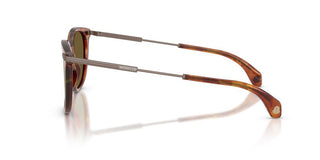 Moncler Korra Me6013 Unisex Havana Geometric Sunglasses