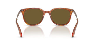 Moncler Korra Me6013 Unisex Havana Geometric Sunglasses