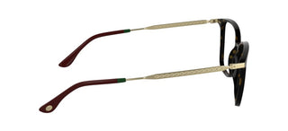 Lacoste L2984 Women Havana Squared Eyeglasses