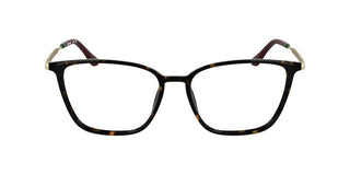 Lacoste L2984 Women Havana Squared Eyeglasses