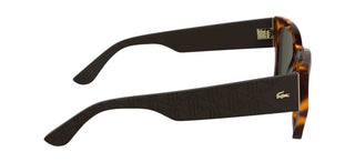 Lacoste L6053s Women Havana Squared Sunglasses
