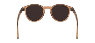 Lacoste L6055s Men Brown Pantos Sunglasses
