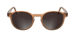 Lacoste L6055s Men Brown Pantos Sunglasses