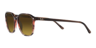 Ray-Ban LEONARD RB 2193 unisex Havana Geometric Sunglasses