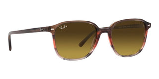 Ray-Ban LEONARD RB 2193 unisex Havana Geometric Sunglasses