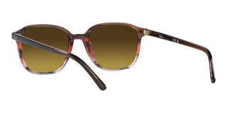 Ray-Ban LEONARD RB 2193 unisex Havana Geometric Sunglasses