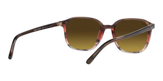 Ray-Ban LEONARD RB 2193 unisex Havana Geometric Sunglasses