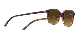 Ray-Ban LEONARD RB 2193 unisex Havana Geometric Sunglasses