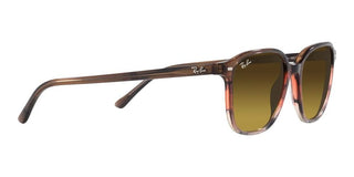 Ray-Ban LEONARD RB 2193 unisex Havana Geometric Sunglasses