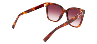 Longchamp Lo696s N Women Havana Squared Sunglasses