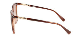 Longchamp Lo710s N Women Brown Cat Eye Sunglasses