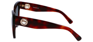 Longchamp Lo717s N Women Havana Butterfly Sunglasses