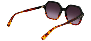 Longchamp Lo760s N Women Havana Geometric Sunglasses