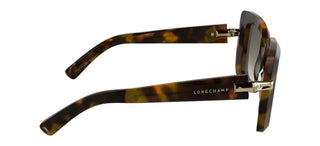 Longchamp Lo776s N Women Havana Squared Sunglasses