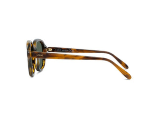 Loewe Slim Lw40163i Men Havana Round Sunglasses