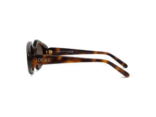LOEWE Slim LW40185I women Havana Butterfly Sunglasses