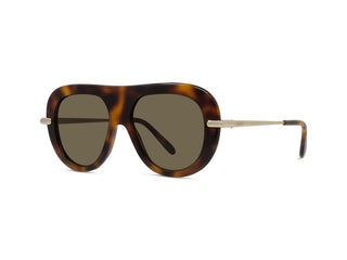 LOEWE Slim LW40186I women Havana Pilot Sunglasses