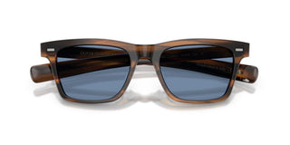 Oliver Peoples Maestro Ov 5590su Unisex Havana Squared Sunglasses