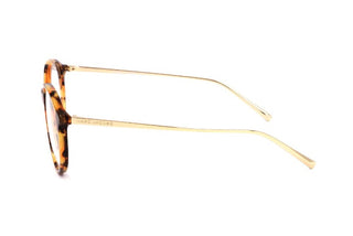 Marc Jacobs Marc 437 Women Havana Round Eyeglasses