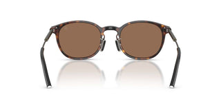 Moncler Me6011d Unisex Havana Round Sunglasses