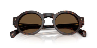 Moncler Me6012 Unisex Havana Round Sunglasses