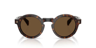 Moncler Me6012 Unisex Havana Round Sunglasses