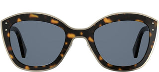 Moschino MOS050/S women Havana Cat Eye Sunglasses