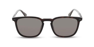 Police New Crossroads 5splq86 Men Havana Squared Sunglasses