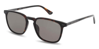 Police New Crossroads 5splq86 Men Havana Squared Sunglasses