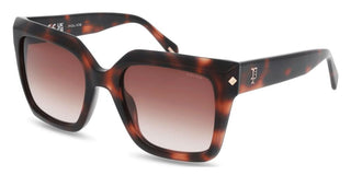 Police New Dawn4 Splr26 Unisex Havana Butterfly Sunglasses