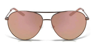 Nike Nike Chance M Ev1218 Unisex Brown Pilot Sunglasses