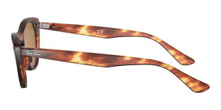 Ray-Ban NINA RB 4314N women Havana Cat Eye Sunglasses