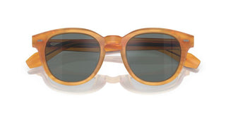 Oliver Peoples N.05 Sun Ov 5547su Unisex Orange Pantos Sunglasses