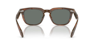 Oliver Peoples N.06 Sun Ov 5546su Unisex Brown Pantos Sunglasses