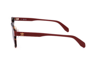 Adidas Originals OR0008-H men Havana Round Sunglasses