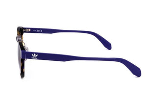 Adidas Originals OR0008-H men Havana Round Sunglasses