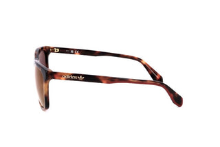 Adidas Originals OR0040 men Havana Geometric Sunglasses